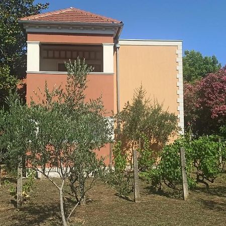 Apartments Rolovina Tivat Buitenkant foto