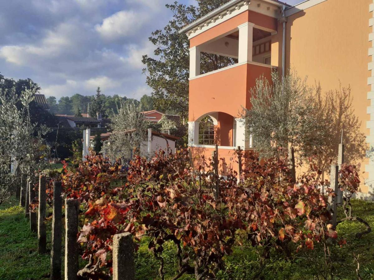 Apartments Rolovina Tivat Buitenkant foto